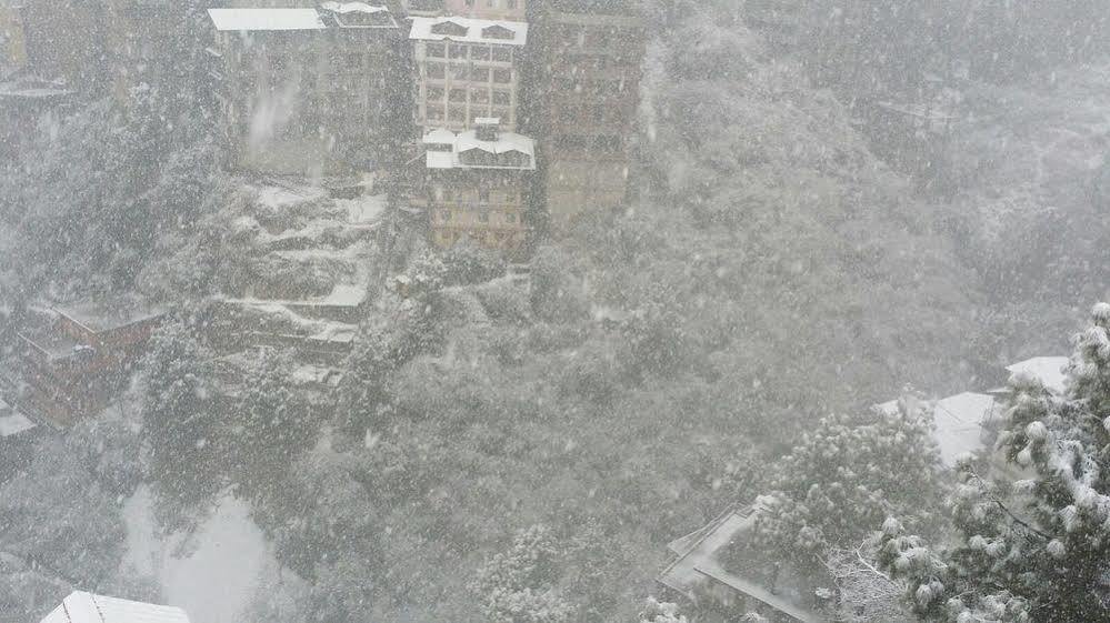 Snow Valley Resorts Shimla Exterior photo